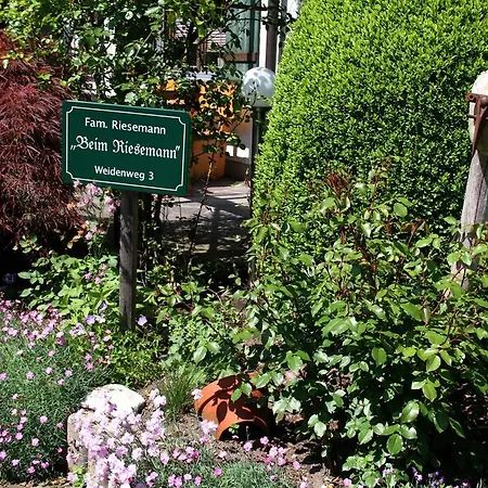 Apartment Ferienwohnung Riesemann